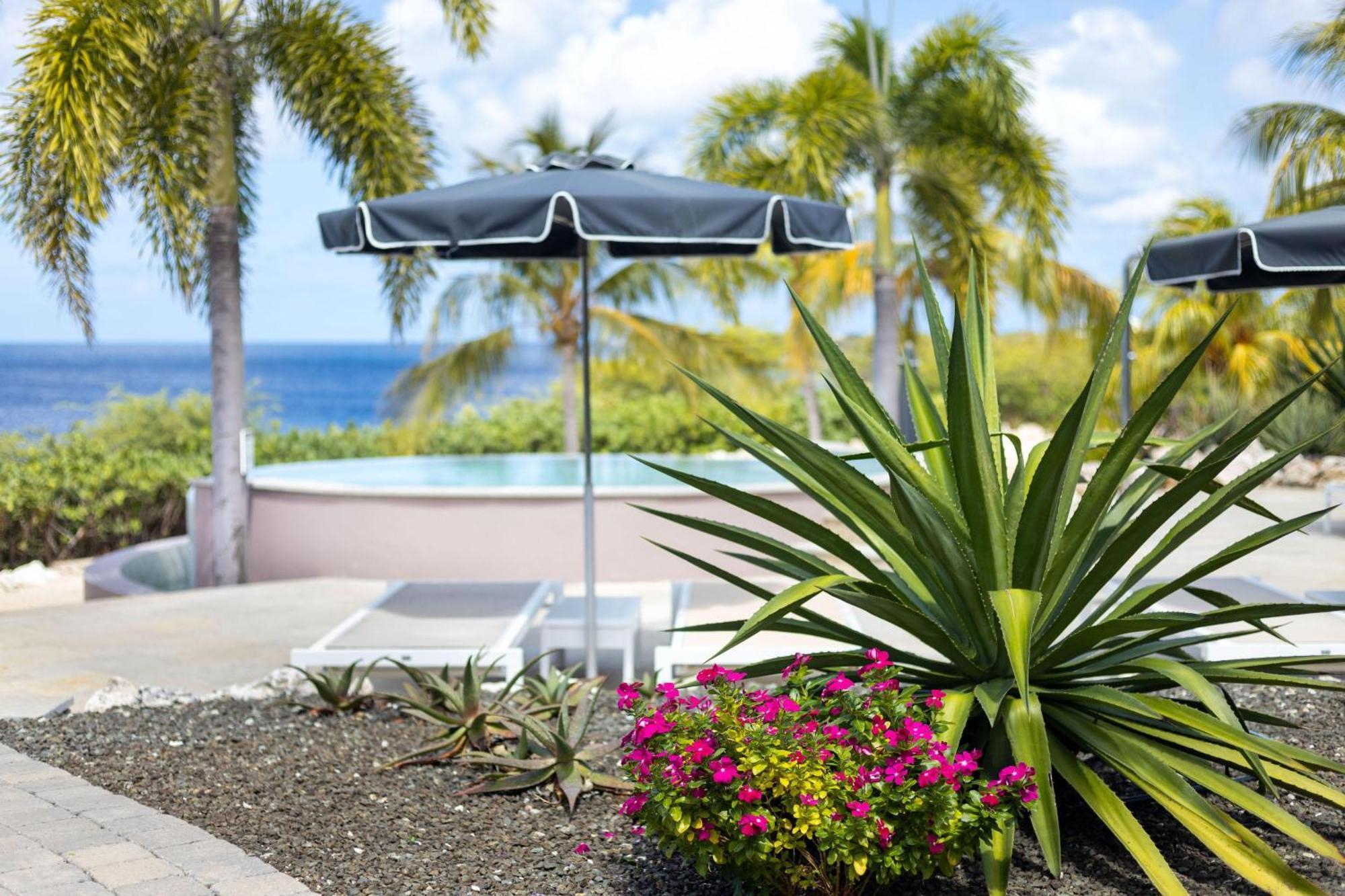 Coral Estate Luxury Resort Willibrordus Exteriör bild